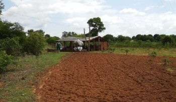 A importância dos geradores de energia em áreas rurais e locais remotos | Gerapar